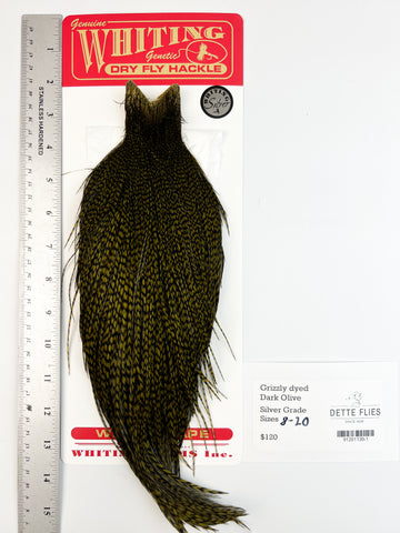 Grizzly dyed Dark Olive - Whiting Line Rooster Cape - Silver Grade