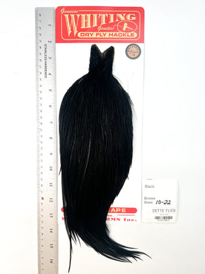 Black - Whiting Line Rooster Cape - Bronze Grade (#3)