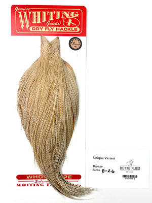 Unique Variant - Whiting Line Rooster Cape - Bronze Grade