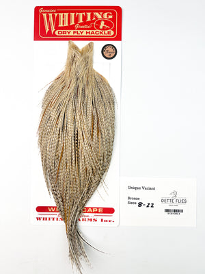 Unique Variant - Whiting Line Rooster Cape - Bronze Grade