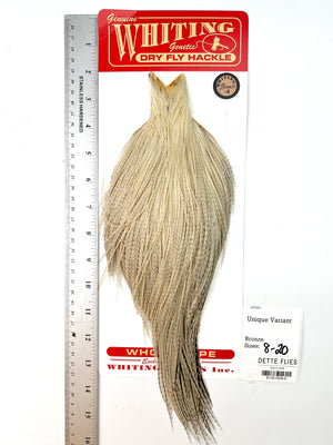 Unique Variant - Whiting Line Rooster Cape - Bronze Grade (#5)