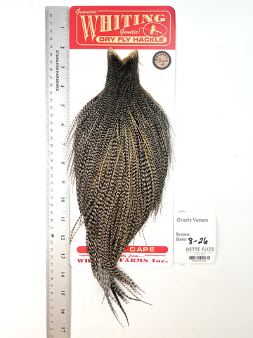 Grizzly Variant - Whiting Line Rooster Cape - Bronze Grade (#5)