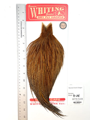 Barred Dark Ginger - Whiting Line Rooster Cape - Bronze Grade (#6)