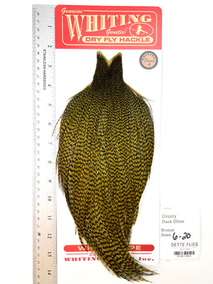 Grizzly dyed Dark Olive - Whiting Line Rooster Cape - Bronze Grade (#4)