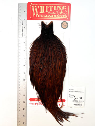 dyed Coachman Brown - Whiting Line Rooster Cape - Bronze Grade (#3)