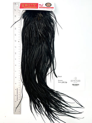 Black - Whiting Line Rooster Saddle - Bronze Grade