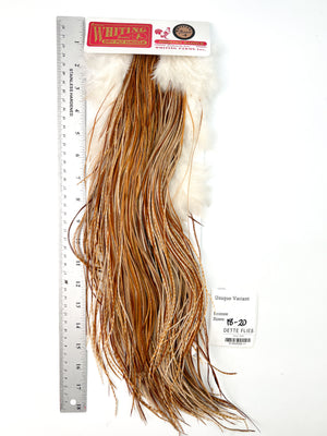 Unique Variant - Whiting Line Rooster Saddle - Bronze Grade (#11)