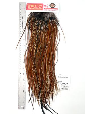 Unique Variant - Whiting Line Rooster Saddle - Bronze Grade (#3)