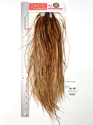 Unique Variant - Whiting Line Rooster Saddle - Bronze Grade (#4)