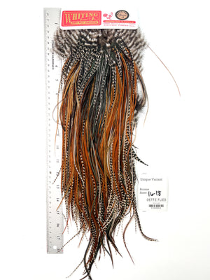 Unique Variant - Whiting Line Rooster Saddle - Bronze Grade (#5)