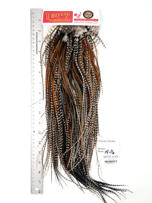 Grizzly Variant - Whiting Line Rooster Saddle - Bronze Grade (#11)