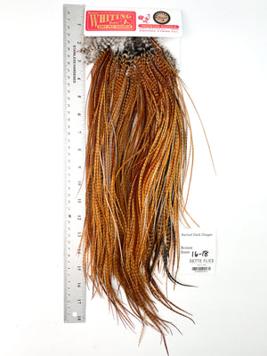 Barred Dark Ginger - Whiting Line Rooster Saddle - Bronze Grade (#3)