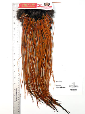 Furnace - Whiting Line Rooster Saddle - Bronze Grade