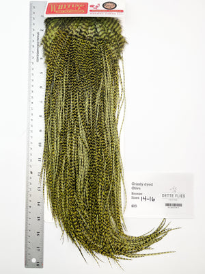 Grizzly dyed Olive - Whiting Line Rooster Saddle - Bronze Grade