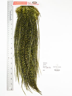 Grizzly dyed Olive - Whiting Line Rooster Saddle - Bronze Grade