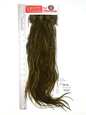 Grizzly dyed Dark Olive - Whiting Line Rooster Saddle - Bronze Grade (#3)