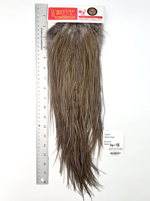 dyed Dark Dun - Whiting Line Rooster Saddle - Bronze Grade (#3)