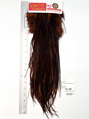 dyed Coachman Brown - Whiting Line Rooster Saddle - Bronze Grade (#2)