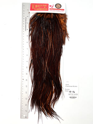 dyed Coachman Brown - Whiting Line Rooster Saddle - Bronze Grade (#3)