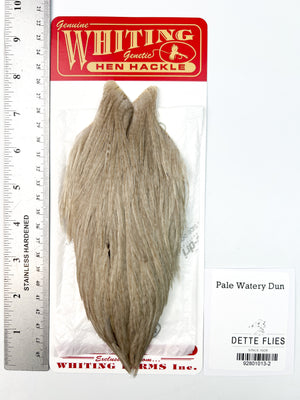 Pale Watery Dun - Whiting Line Hen Cape