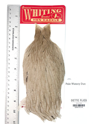 Pale Watery Dun - Whiting Line Hen Cape (#4)