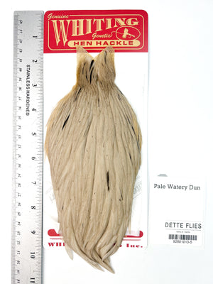 Pale Watery Dun - Whiting Line Hen Cape (#5)