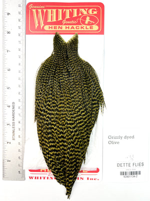 Grizzly dyed Olive - Whiting Line Hen Cape