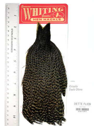 Grizzly dyed Dark Olive - Whiting Line Hen Cape (#3)