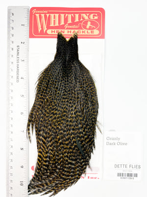 Grizzly dyed Dark Olive - Whiting Line Hen Cape (#5)