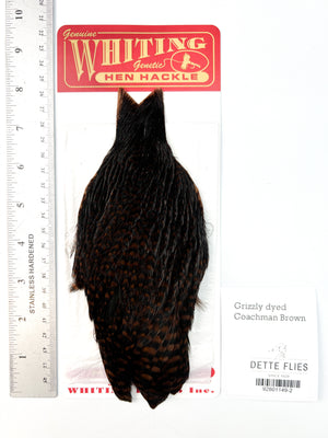 Grizzly dyed Coachman Brown - Whiting Line Hen Cape