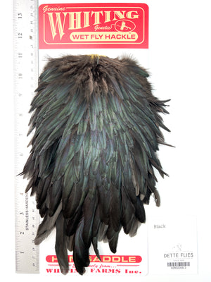 Black - Whiting Line Hen Saddle