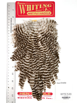 Dun Grizzly - Whiting Line Hen Saddle (#6)