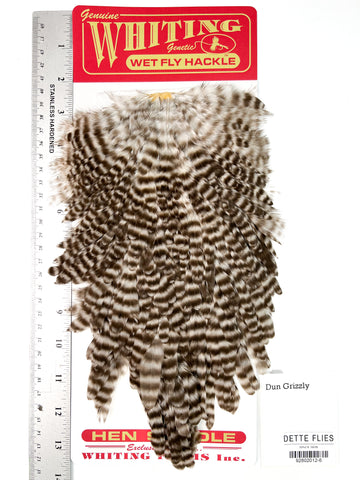 Dun Grizzly - Whiting Line Hen Saddle (#6)