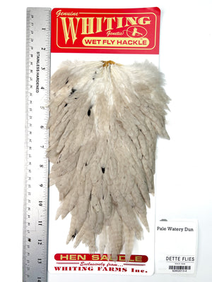 Pale Watery Dun - Whiting Line Hen Saddle (#4)