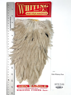 Pale Watery Dun - Whiting Line Hen Saddle (#5)