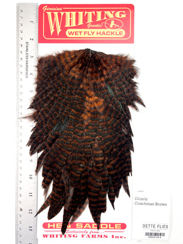Grizzly dyed Coachman Brown - Whiting Line Hen Saddle (#4)