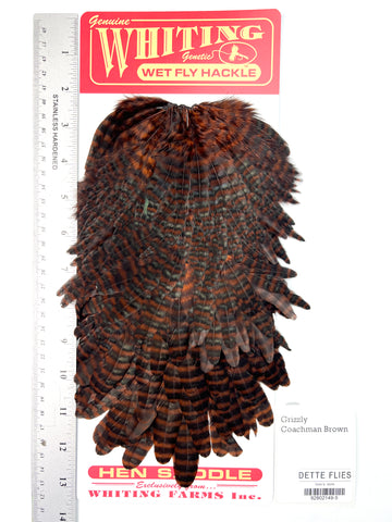 Grizzly dyed Coachman Brown - Whiting Line Hen Saddle (#5)