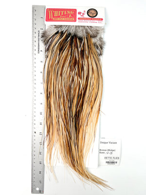 Unique Variant - Whiting Midge Line Rooster Saddle - Bronze Grade (#8)