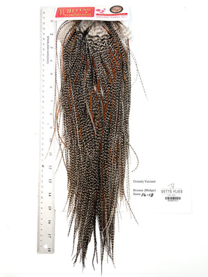 Grizzly Variant - Whiting Midge Line Rooster Saddle - Bronze Grade