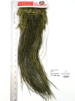Grizzly dyed Olive - Whiting Midge Line Rooster Saddle - Bronze Grade