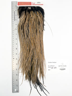 Golden Badger - Whiting Line Rooster Saddle - Pro Grade