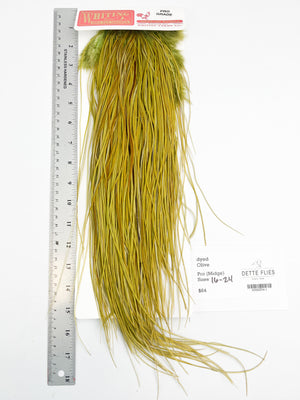 dyed Olive - Whiting Line Rooster Saddle - Pro Grade