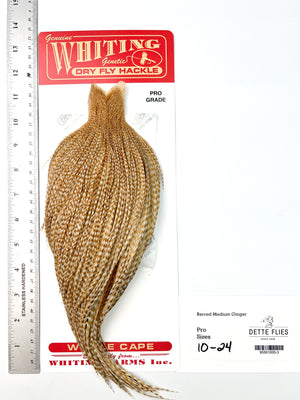 Barred Medium Ginger - Whiting Line Rooster Cape - Pro Grade