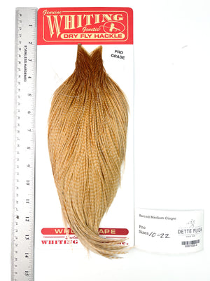 Barred Medium Ginger - Whiting Line Rooster Cape - Pro Grade (#4)