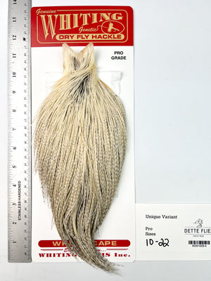 Unique Variant - Whiting Line Rooster Cape - Pro Grade