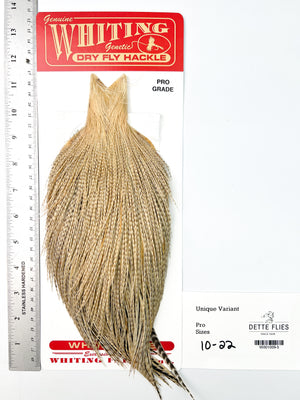 Unique Variant - Whiting Line Rooster Cape - Pro Grade