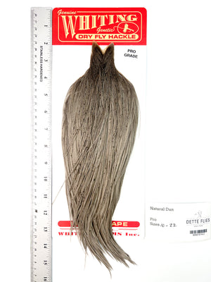 Natural Dun - Whiting Line Rooster Cape - Pro Grade (#2)