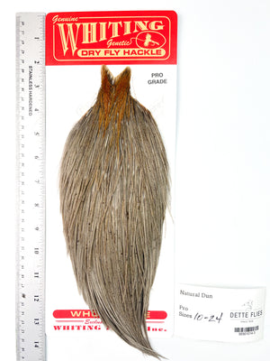 Natural Dun - Whiting Line Rooster Cape - Pro Grade (#3)