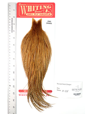 Barred Dark Ginger - Whiting Line Rooster Cape - Pro Grade (#4)