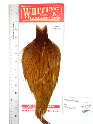 Medium Ginger - Whiting Line Rooster Cape - Pro Grade (#2)